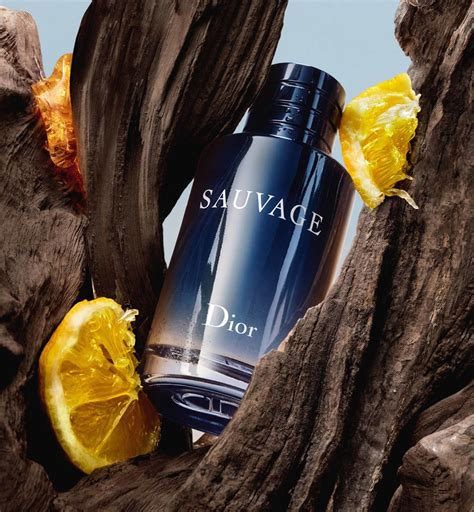 duftproben von dior sauvage|Dior Sauvage eau de toilette.